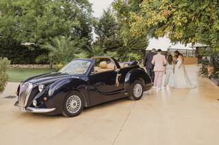 Chic Cars - 6