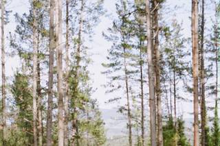 Hegan Wedding Planner - 6