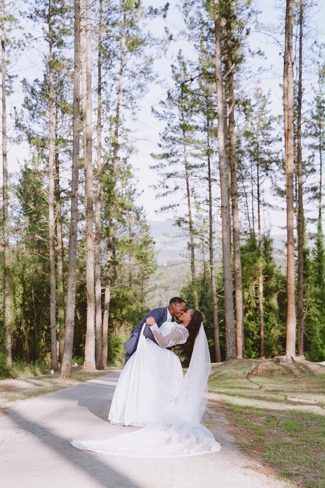 Hegan Wedding Planner - 1