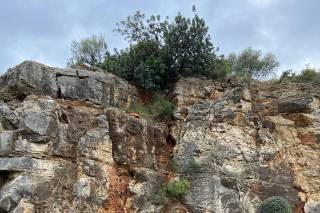 Restaurant Les Moles - 12