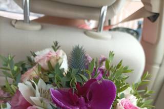 Floristería Natureza - 1