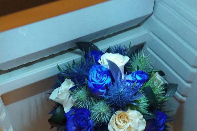 Passionflor 1