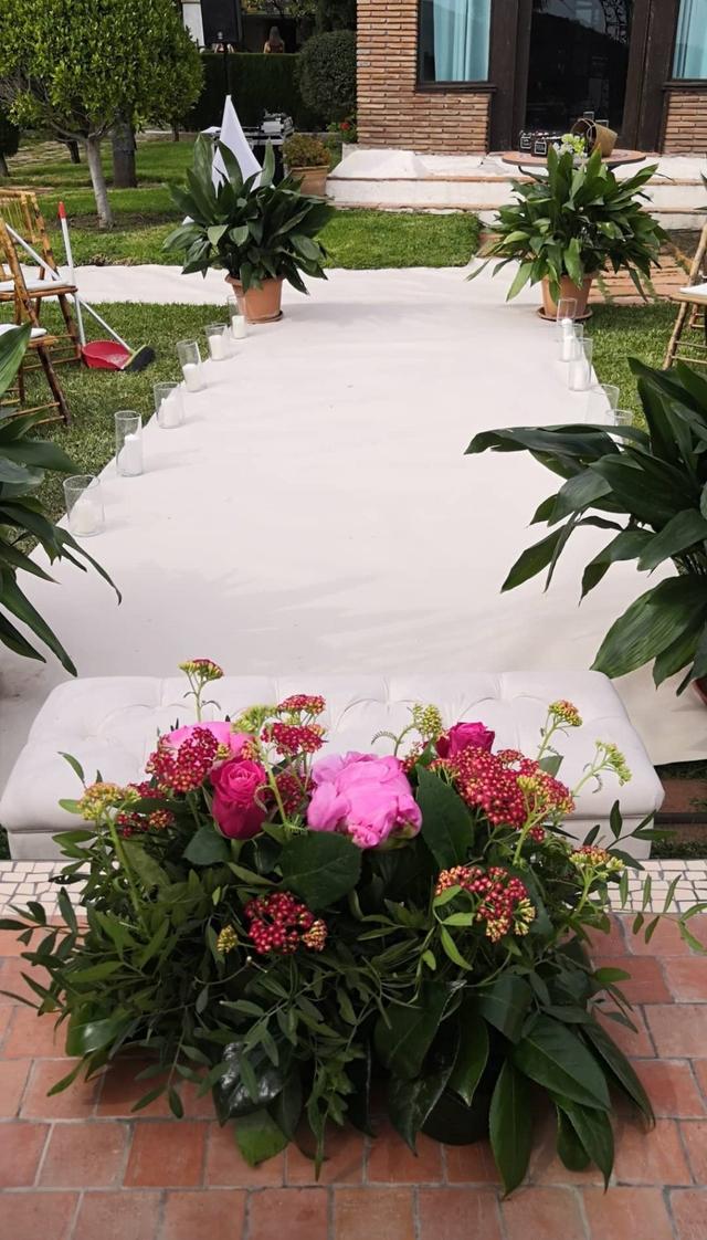 Las Flores de Reding - 3