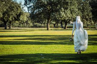 Wedding Planner con Alma - 4