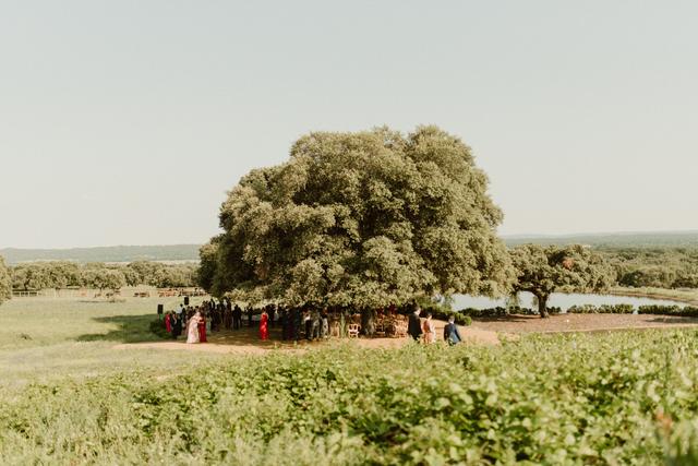 El Jaral de la Mira - 3