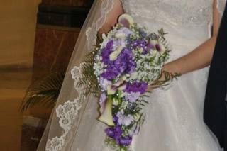 Flors Mas Lluhi - 8