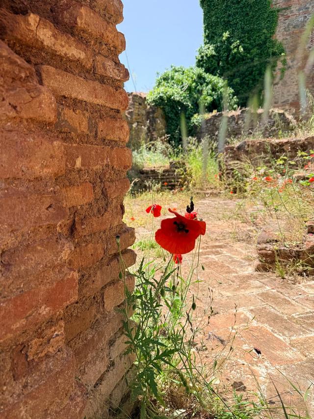 La Cartuja de Cazalla - 2