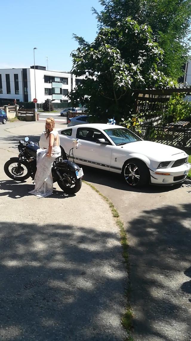 Zesna - Ford Mustang - 2