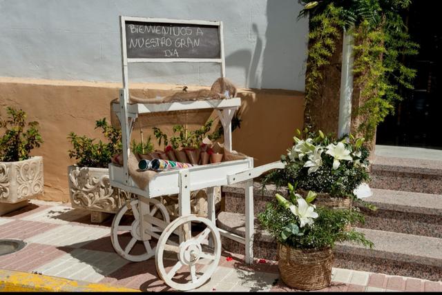 Agaplan - floristería y vivero - 4