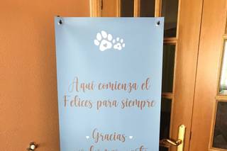 Panda Creativa - 5