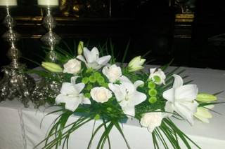 Flores Nati - 7