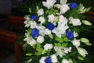 Flores Nati - 8