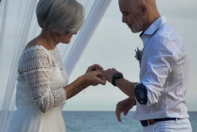Gado Novias 5