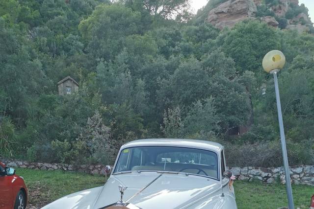 D.G.Limousines 1