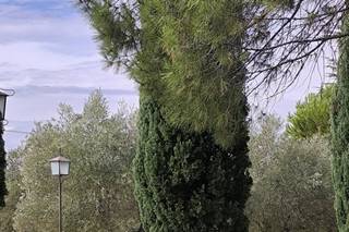 Pet Care Madrid - 7