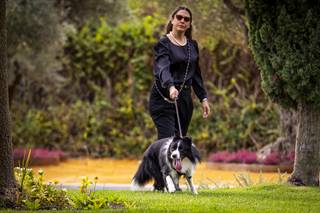 Pet Care Madrid - 8