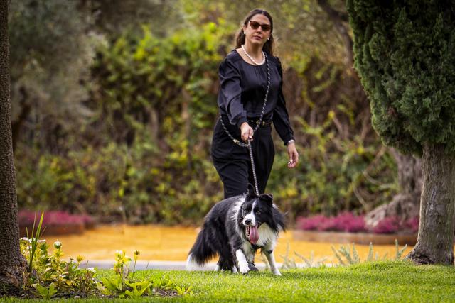 Pet Care Madrid - 1