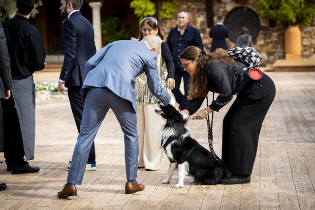 Pet Care Madrid - 4