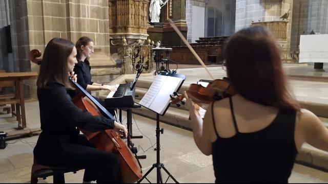Aldara música para eventos - 1