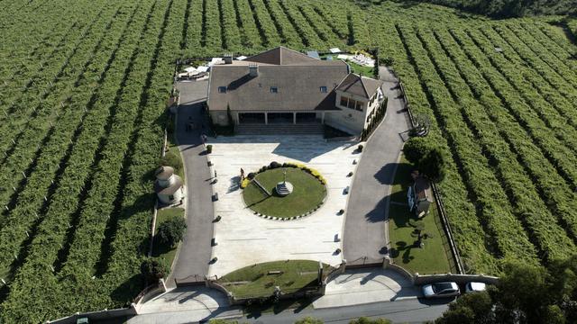 Bodegas Laureatus - 1