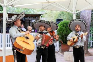 Mariachis Barcelona - 15