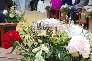 Flors i Plantes Silvia - 11