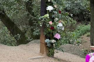 Flors i Plantes Silvia - 12