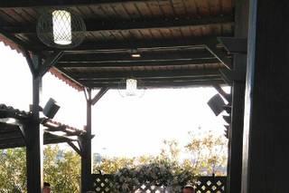 Facta botanica - 19