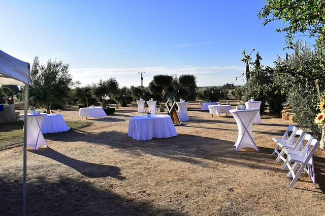 Deleita Catering 4