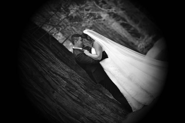 Contraluz fotografía y diseño - 1