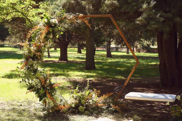 Javier Goicoechea Imagen Creativa 5