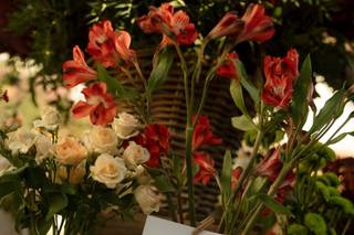 Cuatro Tintas Atelier - 6