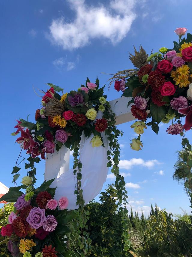 Ibiza Blooming - 2