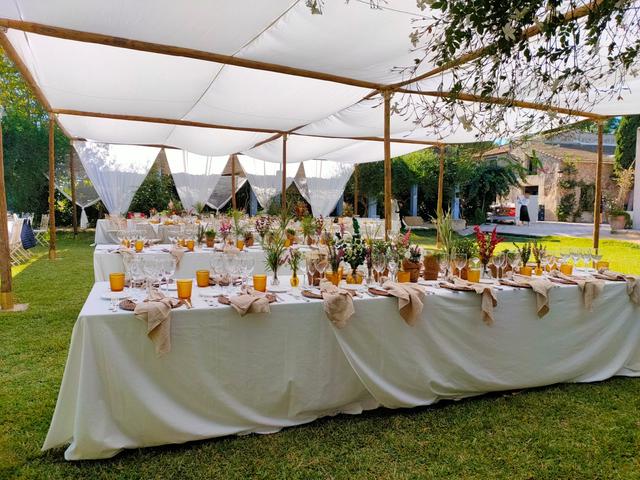 Grupo Carpa Events - 1