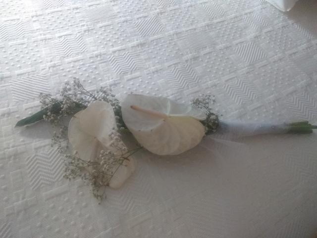 Flors Gesi - 2