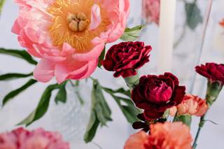 Brünia Floral - 5