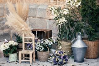 Floristerias Osiria - 14