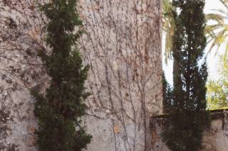 Colors & Emotions - 7