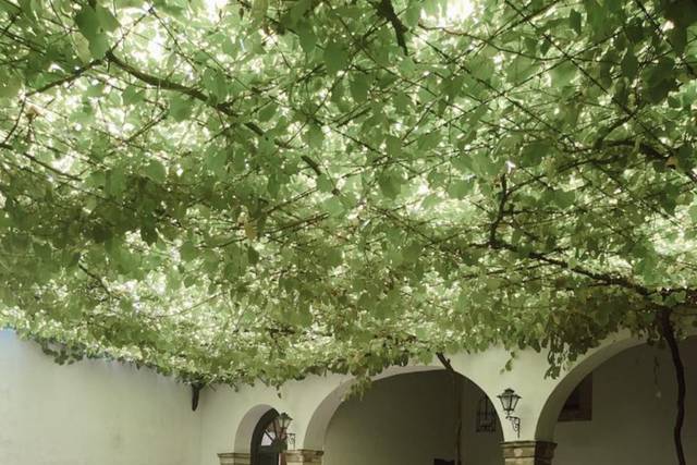 Bodegas Lustau 2