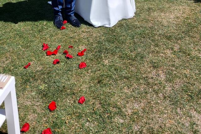 Vega Novias 1