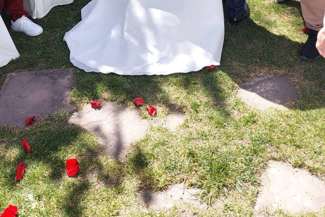Vega Novias 2