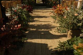 Altamirano Floristas - 6