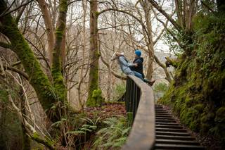 ArtzPhoto - 10