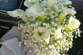 Floristería Martí - 4