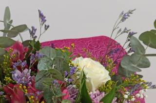 Decoflor - 6