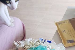 Entre Ramos de Martina - 14