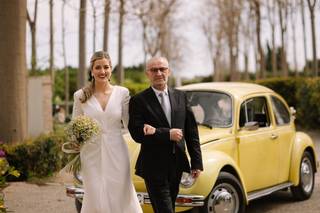 Beetle Eventos - 11