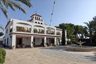 Finca María Ana - 6