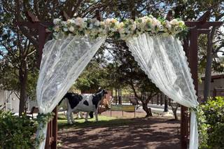 Los Olivos - 8