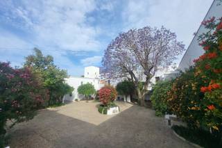 Cortijo de Guerra - 5